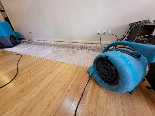 Professional Water Removal technician working in Wellman, IA